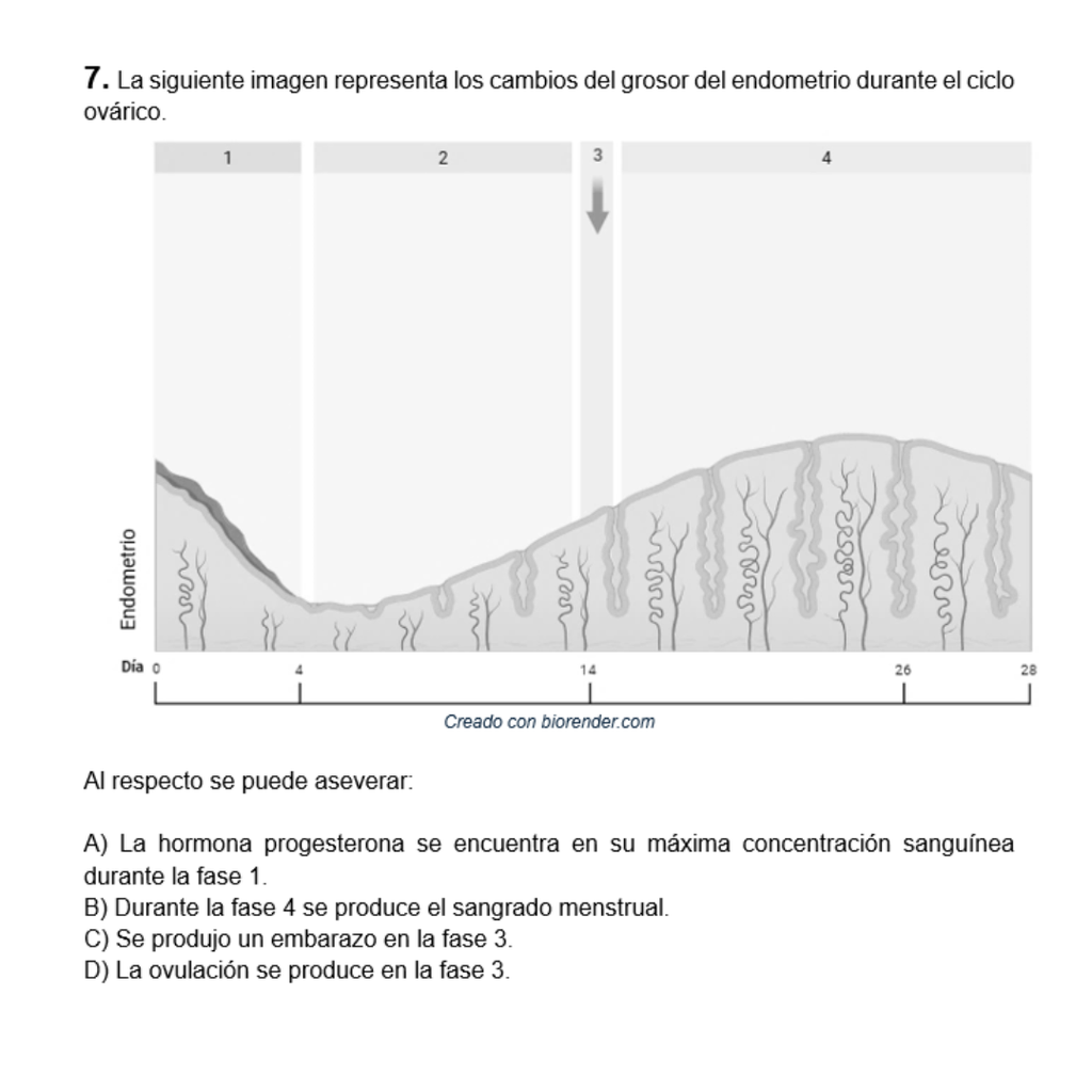 Ensayo Mención Física PAES