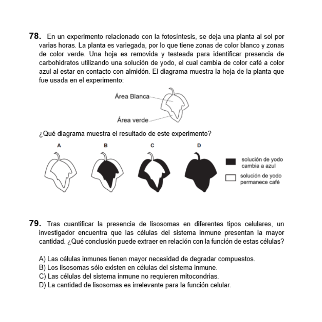 Ensayo Mención Biología PAES